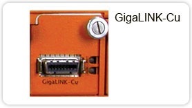 gigamon gigavue gigalink cu